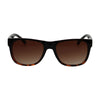 Spectrum Spectrum Lunettes de soleil Half Havana Brown Mesdames