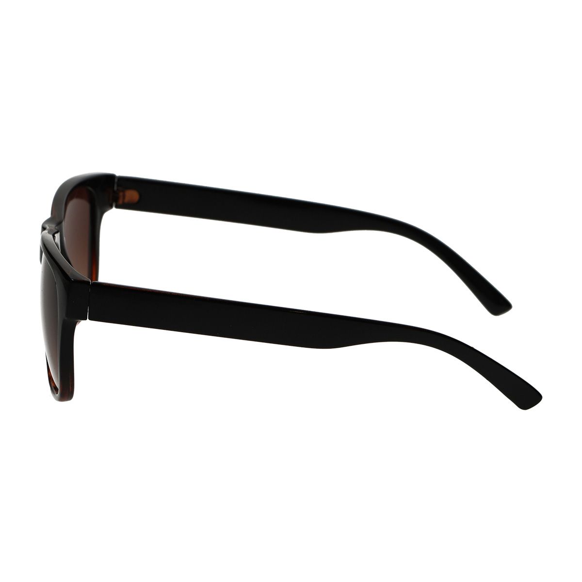 Spectrum Spectrum Lunettes de soleil Half Havana Brown Mesdames