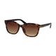 Spectrum Spectrum Sunglasses Square Tortoise Mat Black Ladies