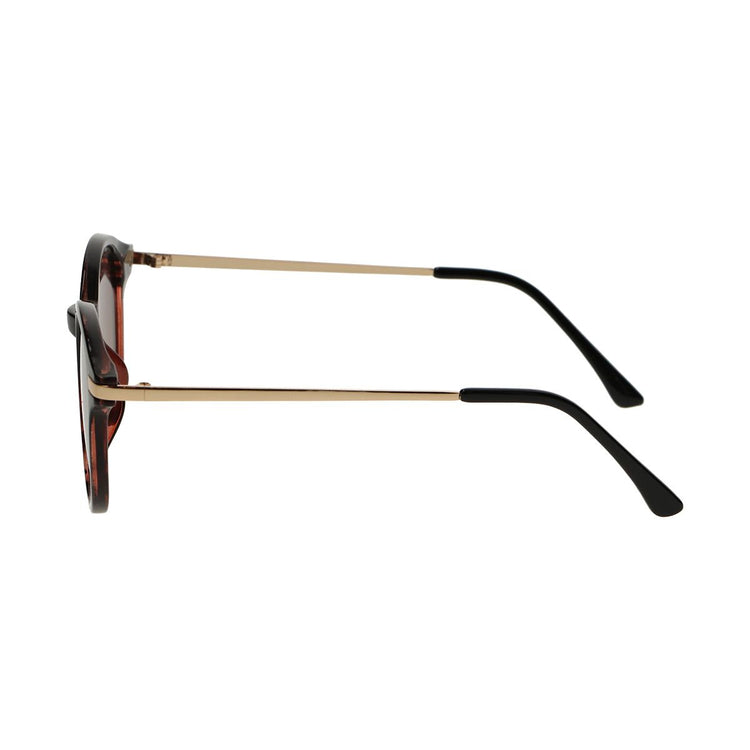 Lunettes de soleil Spectrum Spectrum autour de la moitié de la tortue noires dames