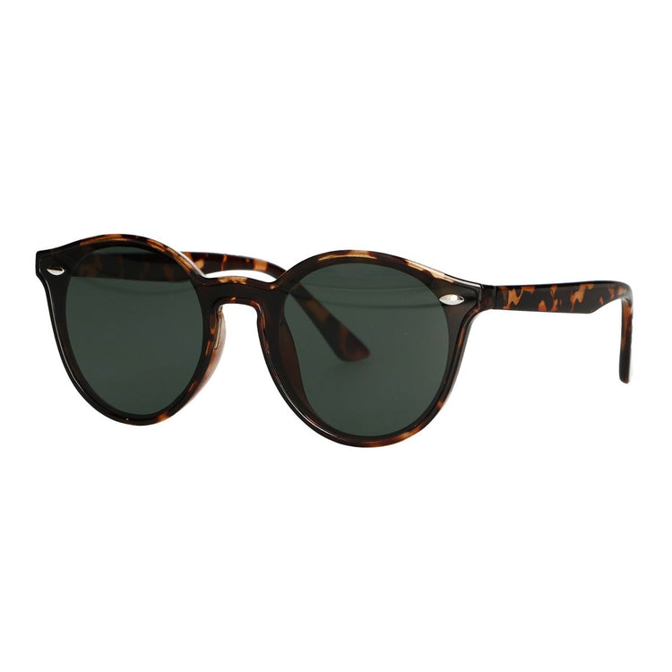 Lunettes de soleil Spectrum Spectrum autour des dames brunes tortue