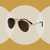 Lunettes de soleil Spectrum Spectrum Pilote Gold Brown Messieurs