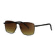 Spectrum Spectrum Lunettes de soleil Men de verre brun noir