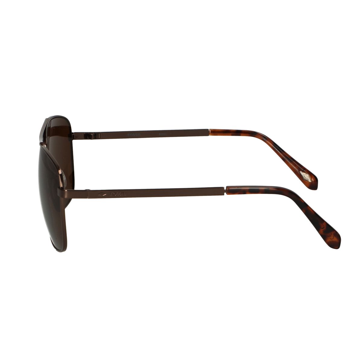 Lunettes de soleil Spectrum Pilote Brown Men