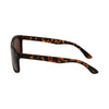 Spectre Spectrum Polariazed Sunglasses Tortoise Brown dames