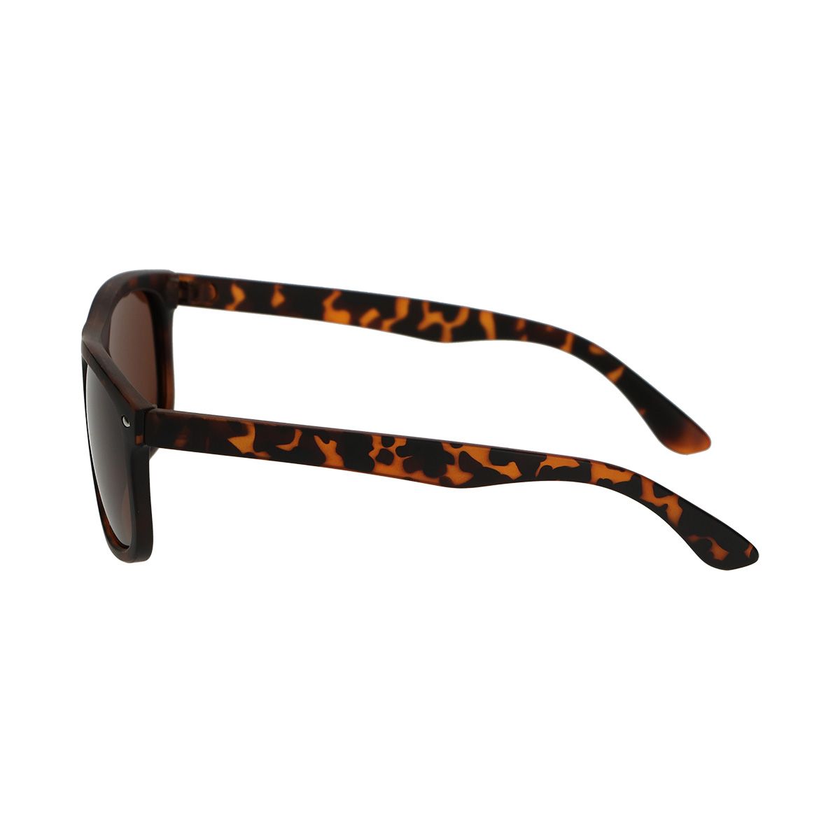 Spectre Spectrum Polariazed Sunglasses Tortoise Brown dames