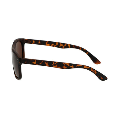 Spectre Spectrum Polariazed Sunglasses Tortoise Brown dames