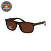 Spectre Spectrum Polariazed Sunglasses Tortoise Brown dames