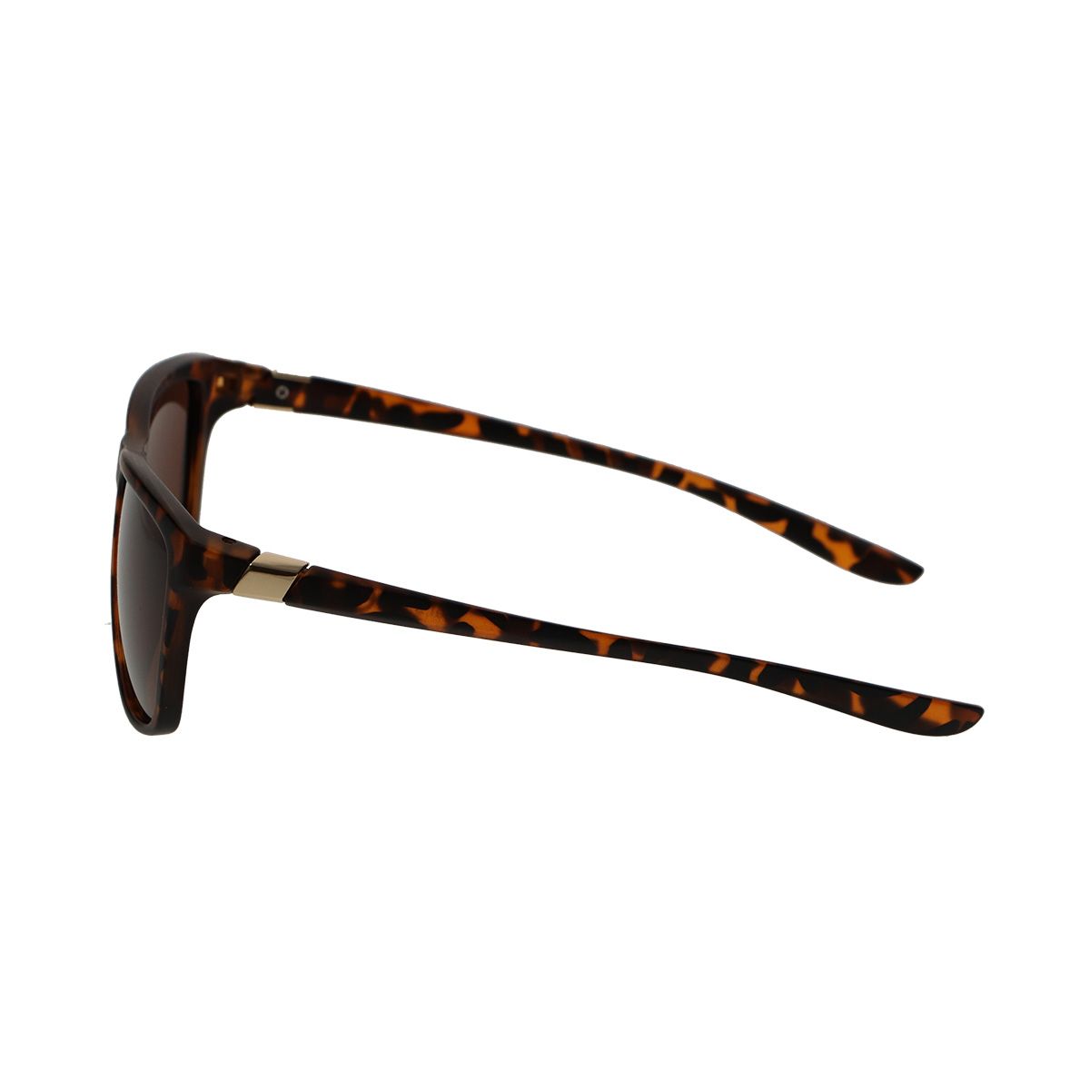 Spectre Spectrum Polarise Sunglasses Rectangle Tortoise Brown Mesdames