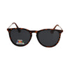 Spectrum Spectrum Polariazed Sunglasses autour de Tortoise Gold Grey Ladies