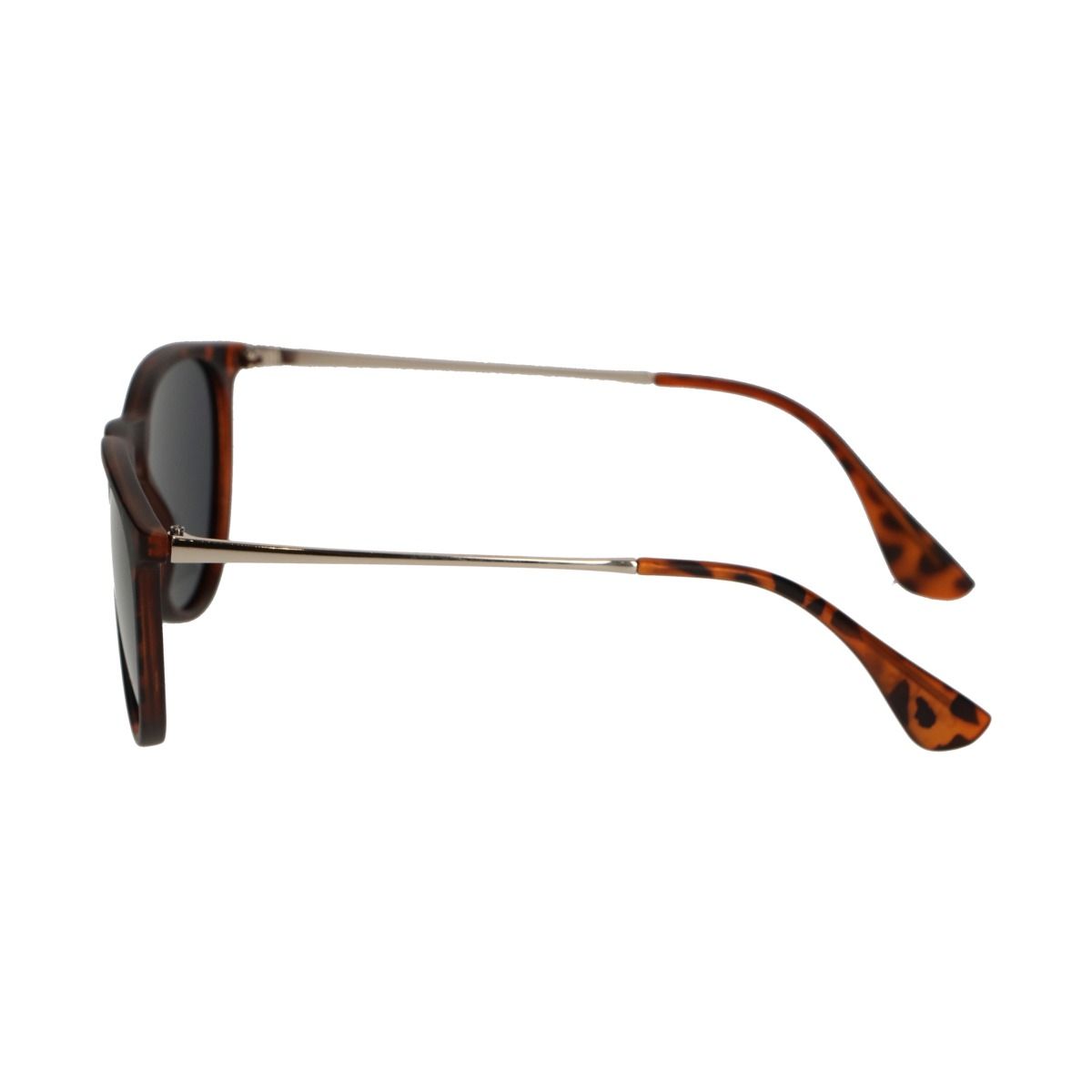 Spectrum Spectrum Polariazed Sunglasses autour de Tortoise Gold Grey Ladies