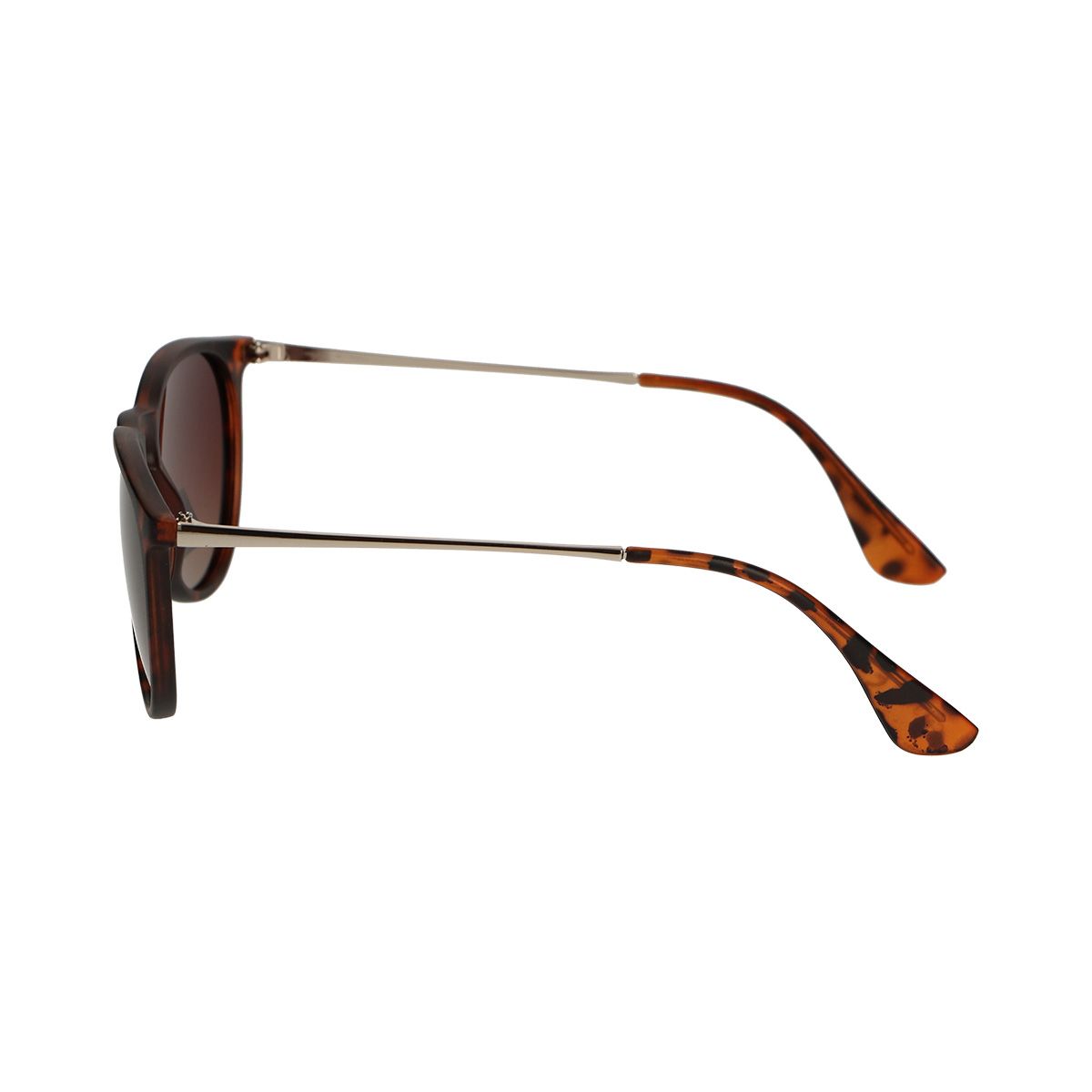 Spectrum Spectrum Polariazed Sunglasses autour de Tortoise Gold Brown Ladies