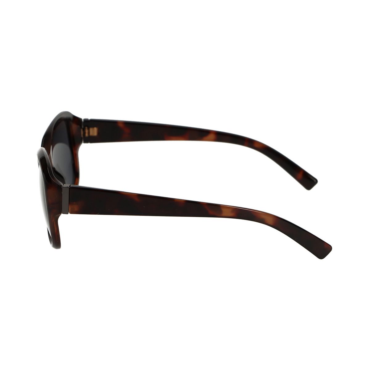 Spectre Spectre des lunettes de soleil polariazées