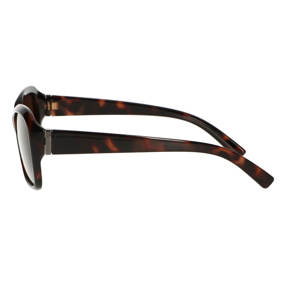 Lunettes de soleil polarisées Spectrum ovales tortue marron dames