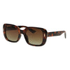 Lunettes de soleil polarisées Spectrum tortue dégradé marron avec dames dorées