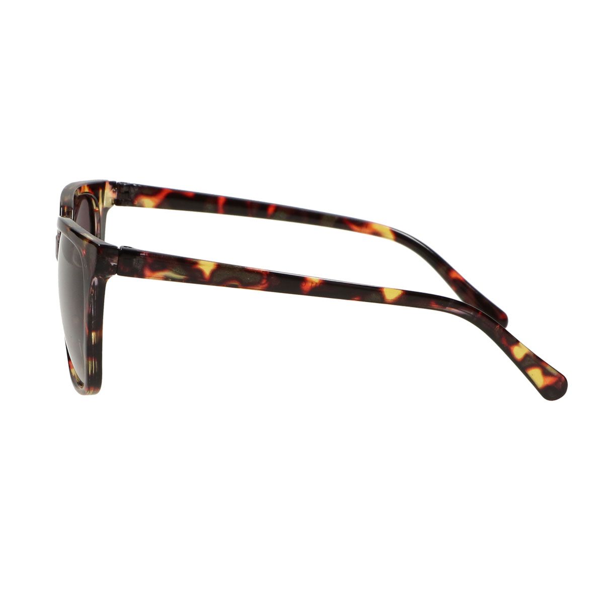 Lunettes de soleil polarisées Spectrum, tortue marron, dames