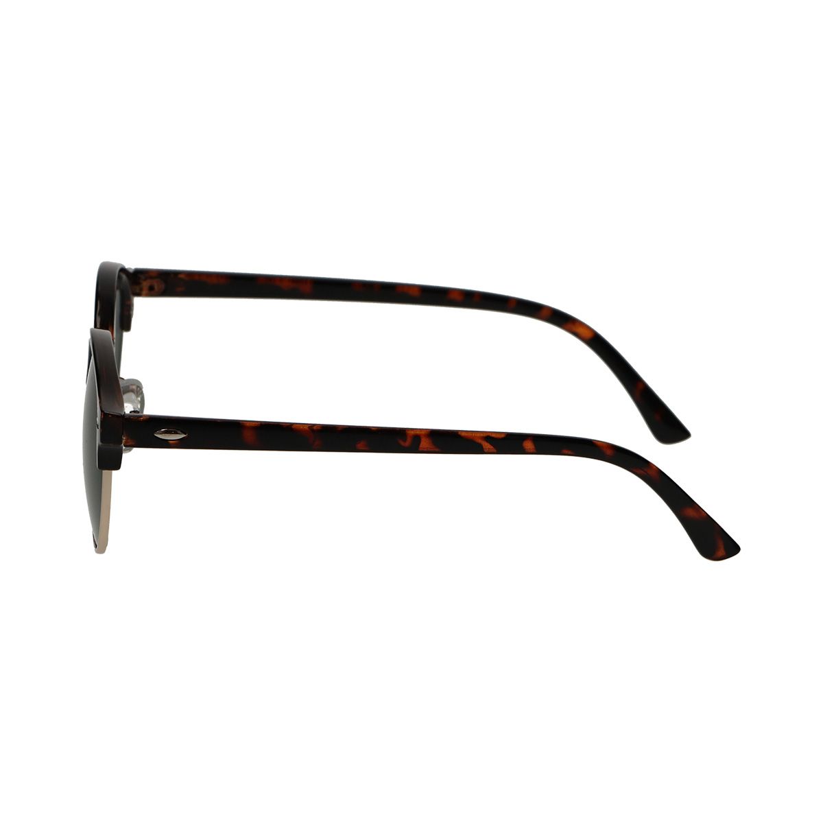 Spectrum Spectrum Sunglasses Club autour de La Havane Gold Green Unisexe