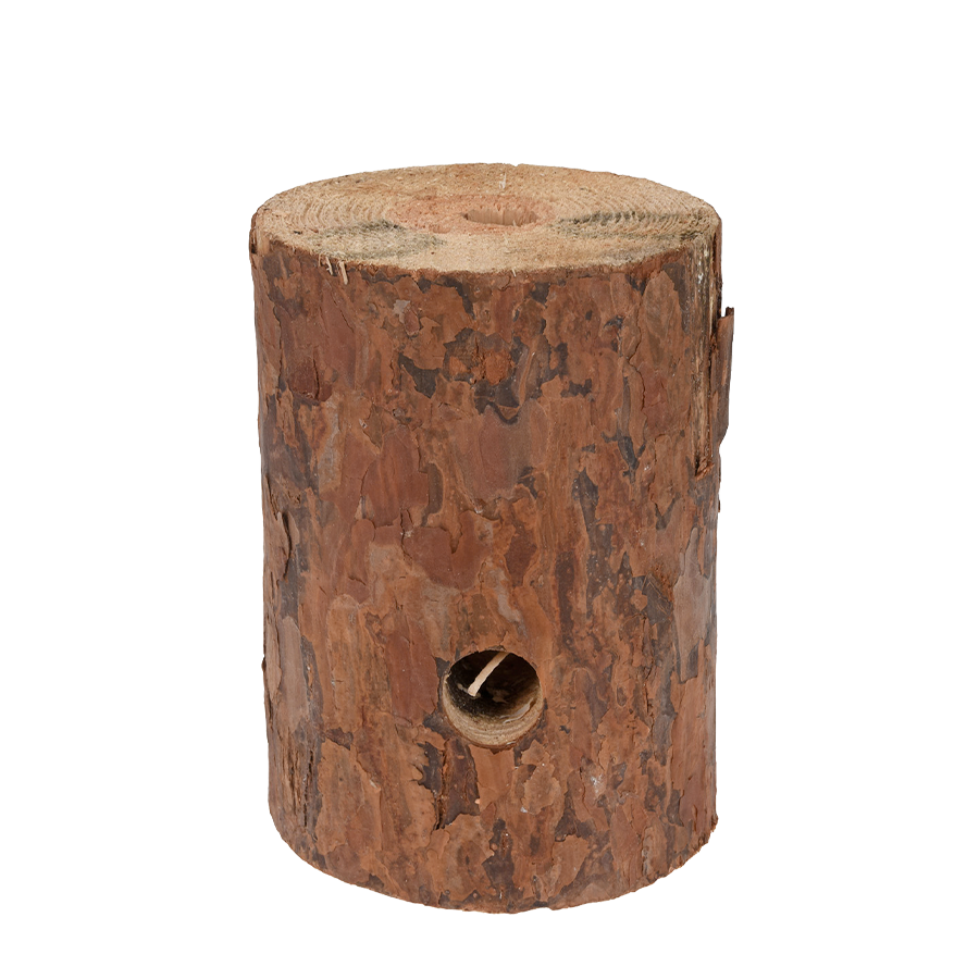 BBQ BBQ Torche suédoise 15x20 cm