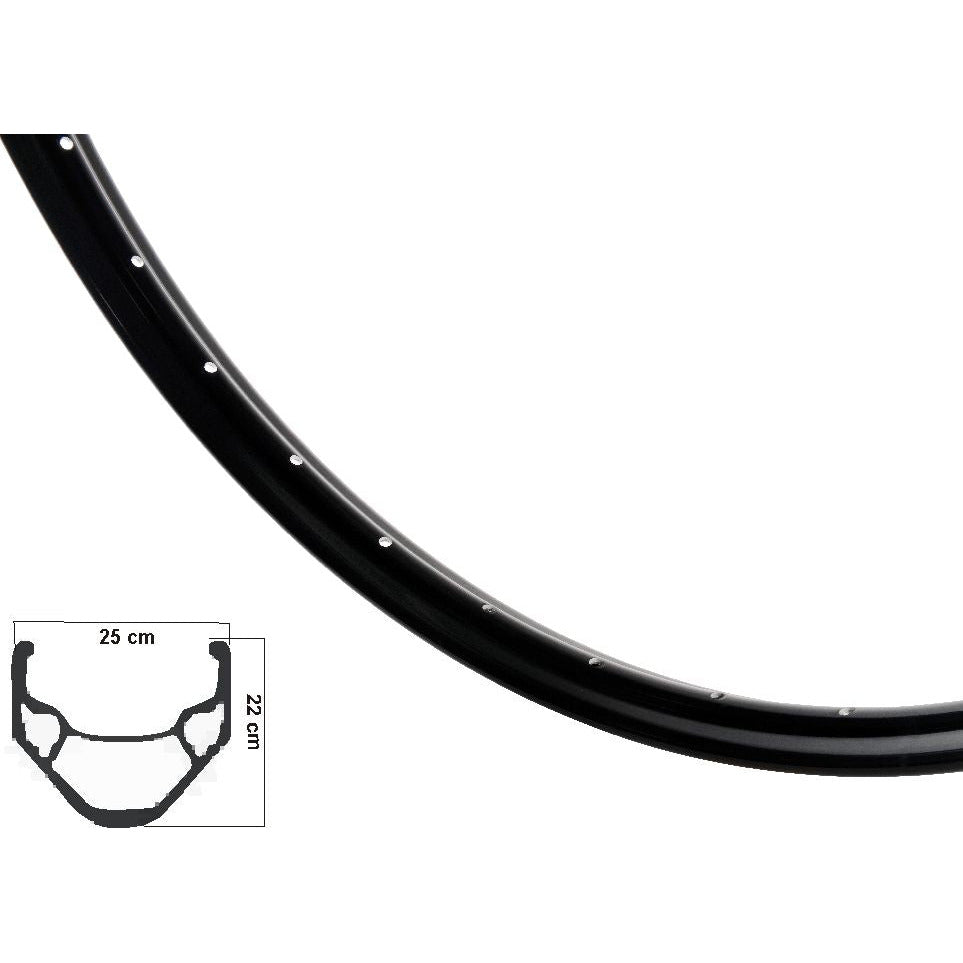 Ryde Rim XS19 noir noir 9x4 36 trous 28 pouces (622)