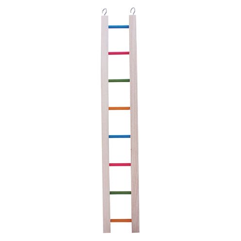 Échelle de compagnie heureuse en bois coloré