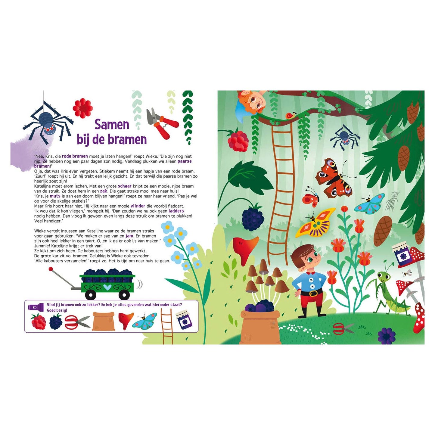 Recherche dans la lampe de poche Kabouterbos + en carton