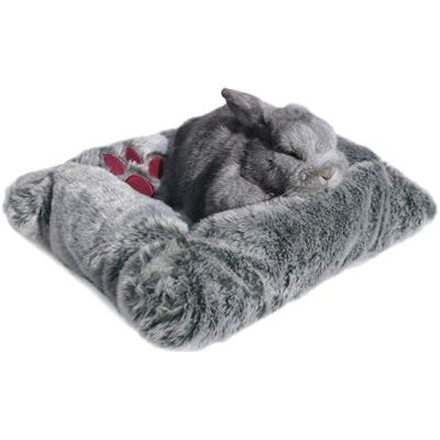 Bandise en peluche en pose de palissandre