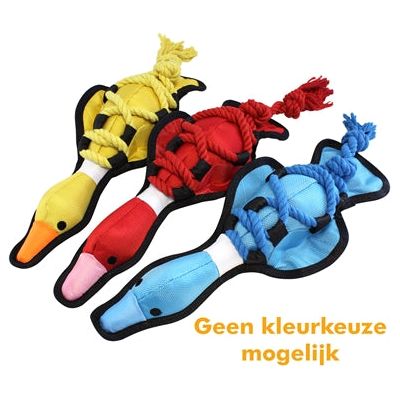 Heureux animal de compagnie sur les cordes croisées canard