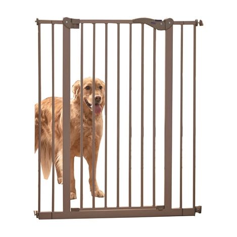 Barrière de chien sauvage gris gris gris