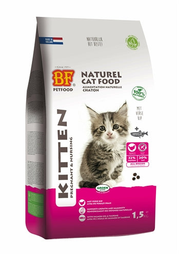 Biophood Premium Quality Kat Kitten enceinte enceinte