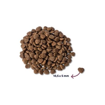 Renske Super Premium Adult Fresh Saumon