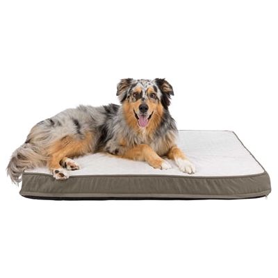 Trixie Vital Vital Orthopedic Pillow Taupe Gris clair