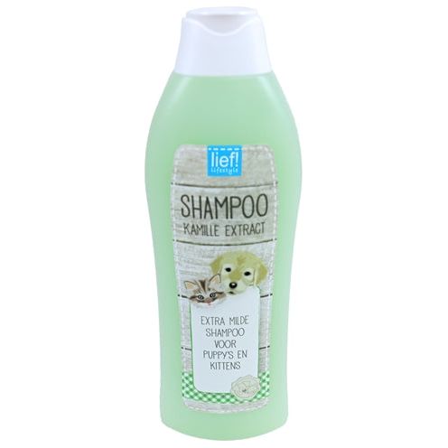 Gentille! Chiot de shampooing et chaton