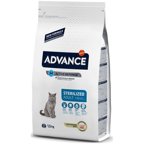 Turquie stérilisée par le chat avancé