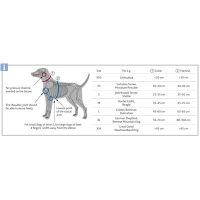 Trixie Collar Dog Premium Forest Green