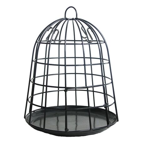 Meilleur pour les oiseaux Selective Bird Feeder