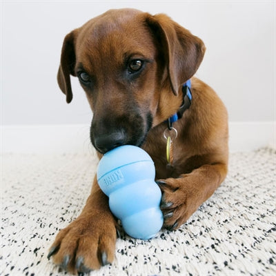 Chiot de collations Kong