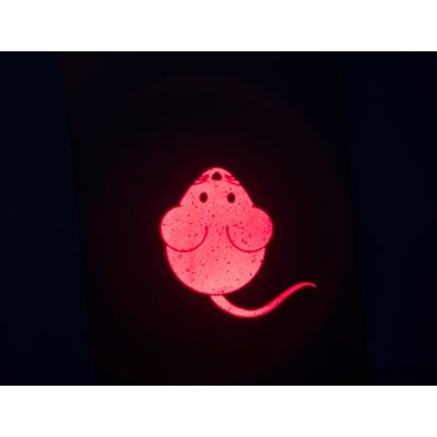 Trixie Lasers Toys attraper la souris légère USB rechargeable