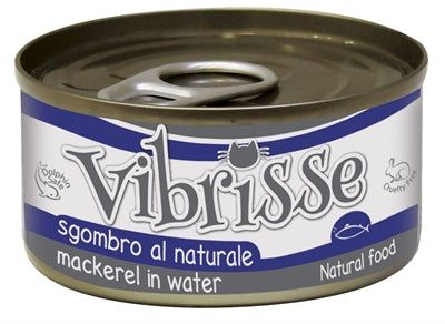 Vibrisse chat maquerel