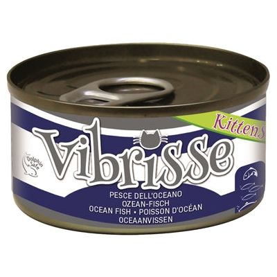 Vibrisse chaton chat de poisson océan