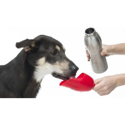 Kong H2O Botting Bottle en acier inoxydable orange