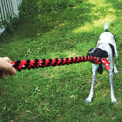 Kong Signature Corde Mega Dual Knot