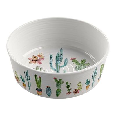 Tarhong Food Bowl Cactus Imprimer 2 mélamine