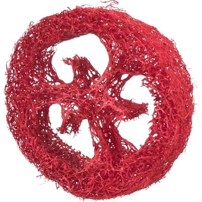 Trixie Loofah Schijven Assorti