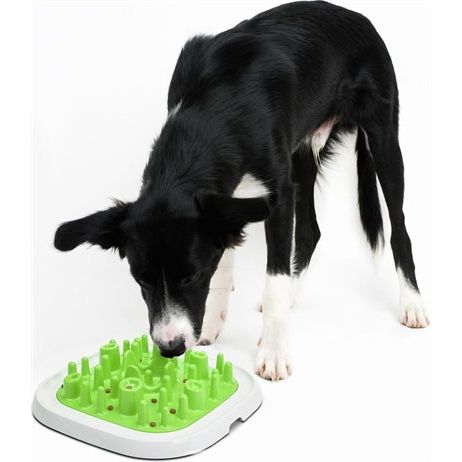 Savic Food Bowl Enigma Slowfeeder Assorti