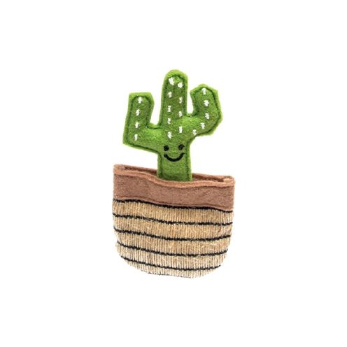 Cactus Fofos Mexique