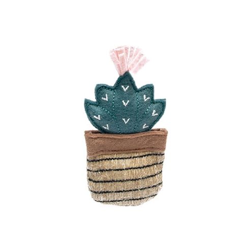Cactus toluca Fofos