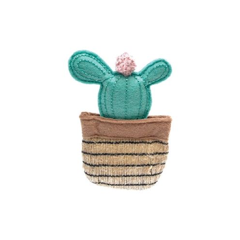Cactus fofos cactus