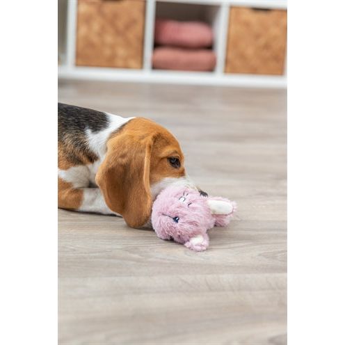 Trixie en peluche haas avec anneau TPR pour chiot