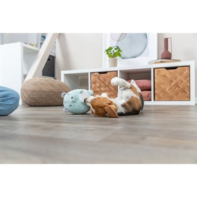 Trixie en peluche ours à la menthe verte pour chiot