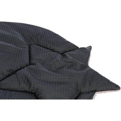 Trixie chiot ligmat star gris lilas